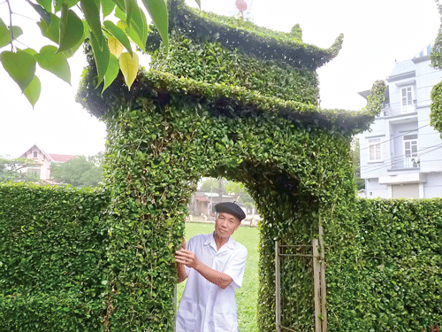 Lão nông tạo dáng cổng cây | Báo Sài Gòn Đầu Tư Tài Chính