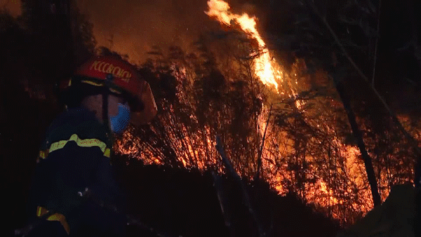 Cháy rừng do đốt cây bụi để làm nương, gần 1.000 người tham gia cứu hộ 