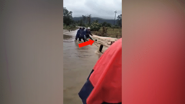 Giải cứu người phụ nữ bấu víu vào gốc cây giữa dòng nước lũ cuồn cuộn chảy 
