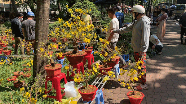 Người dân TPHCM đổ xô mua hoa ngày 29 tết