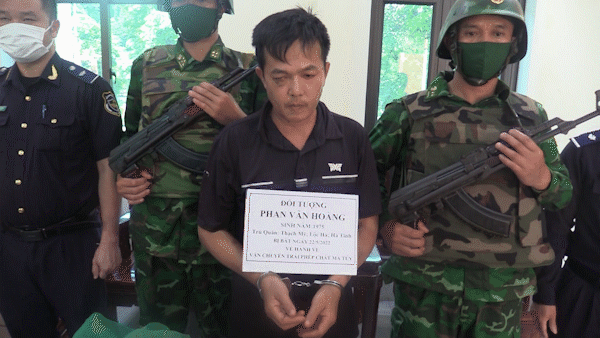 Bắt đối tượng giấu ma túy trong quả dứa để qua biên giới vào Việt Nam