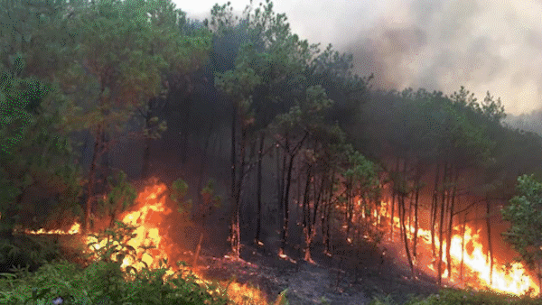 Tin nóng 20H (8-3): Phát hiện thi thể 2 công nhân sau khi dập tắt cháy rừng