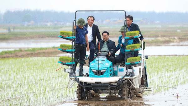 Bản tin tối 15-2: Thủ tướng xuống đồng cấy lúa, thu hoạch cà rốt cùng nông dân
