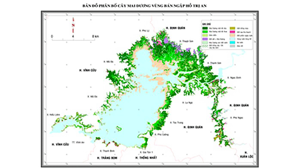Gian nan xử lý 17.000 ha cây mai dương tại hồ Trị An