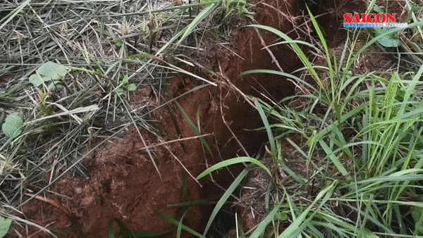 Quảng Nam: Xuất hiện vết nứt dài hàng trăm mét ở huyện Bắc Trà My