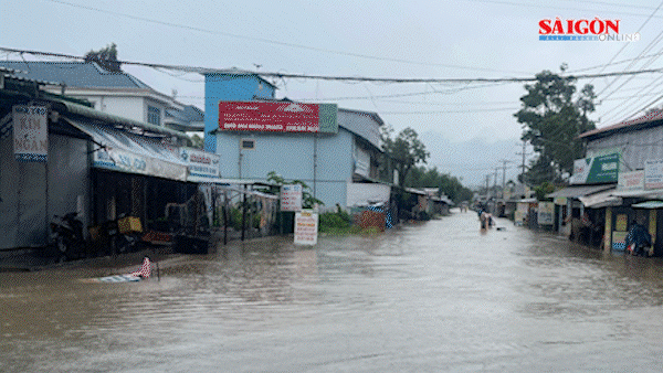 Podcast bản tin tối 14-7: Phú Quốc mưa lớn, nhiều nơi ngập nặng; Hàng loạt vụ sạt lở tiếp tục xuất hiện ở Hà Giang.