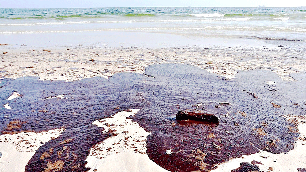 Bọt biển chống dầu loang trên biển