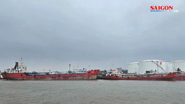 Doanh nghiệp đầu mối xăng dầu Hải Hà Petro bị tước giấy phép