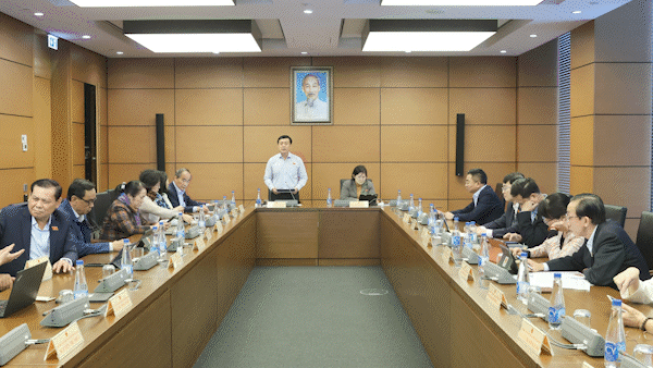 Phó Thủ tướng Trần Lưu Quang phát biểu tại tổ. Ảnh: QUANG PHÚC