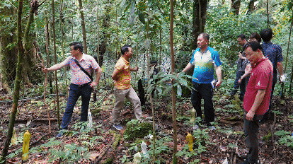 Khởi sắc kinh tế rừng xanh - Bài 1: Du lịch chinh phục rừng nguyên sinh