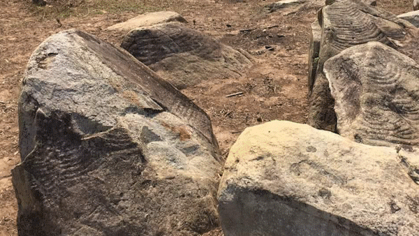 Phát hiện thêm bãi khắc đá cổ gồm 15 khối