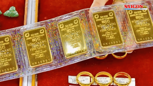 Vàng SJC quay đầu tăng sát ngày đấu thầu 16.800 lượng vàng miếng 