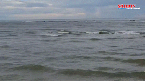 Ngư dân bị sóng đánh phải bơi hơn 200m vào bờ