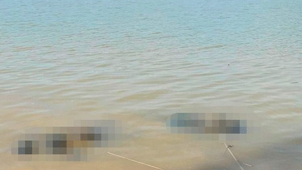 Hai thi thể nạn nhân được đưa vào bờ
