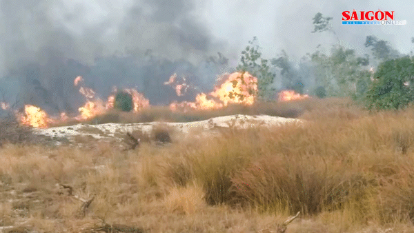 Quảng Bình: Tiếp tục cháy rừng dữ dội dưới nắng nóng 45 độ C