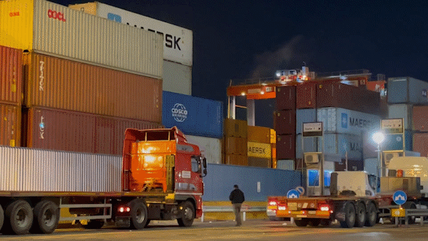 100 container hạt điều Việt Nam xuất khẩu suýt bị mất được trả lại hết