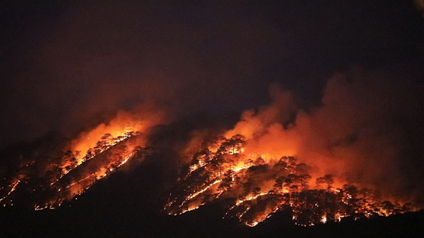 Lực lượng cứu hộ lao vào “biển lửa” khống chế đám cháy rừng trong đêm ở Đà Lạt