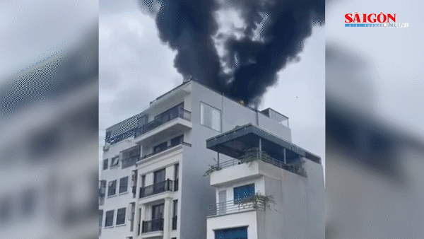 Tin nóng: Thông tin TPHCM thành lập thêm 3 quận là sai sự thật; Cháy tòa nhà 6 tầng tại quận Thanh Xuân, Hà Nội