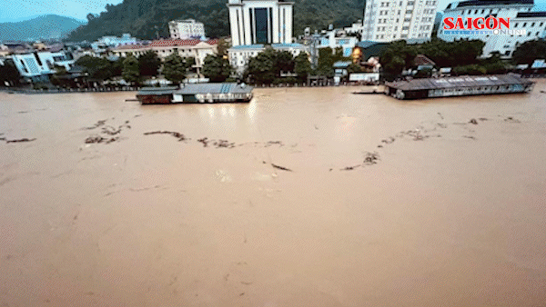 Bản tin trưa 10-6: Mưa lớn, Hà Giang ngập lụt lịch sử; Bắt tạm giam cô gái dùng ô tô tông liên tục xe đối thủ