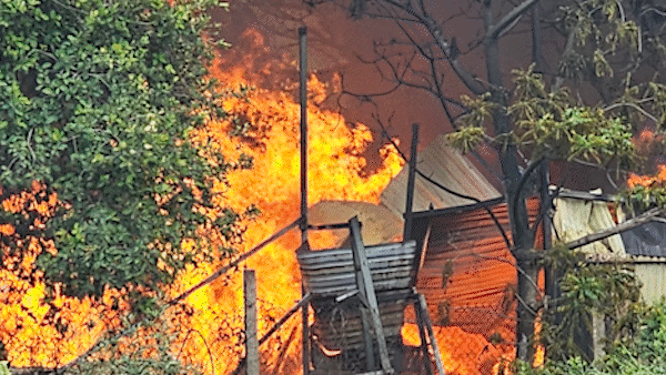 Cháy lớn kèm khói đen bốc cao ở bãi chứa pallet gỗ rộng hàng nghìn mét vuông