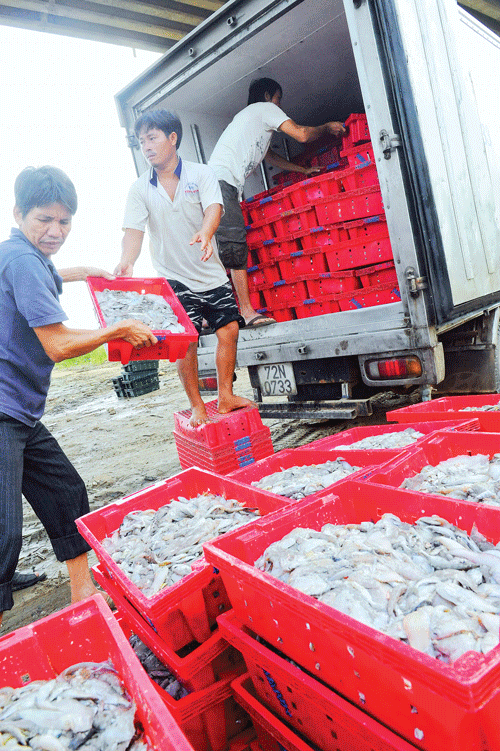 Làng bè như một thành phố nổi trên sông. Làng bè mùa nước lớn. Cá điêu hồng cùng với cá lăng, cá lóc được chủ bè La Ngà chọn nuôi nhiều nhất. Ngoài các bè nuôi cá, sông La Ngà còn là nơi sinh sống của nhiều người làm nghề chài lưới, buông chà đợi cá trên sông. Ngày cân cá cho thương lái thật nhộn nhịp. Thành quả của cả mùa cá trông vào ngày này. Bè cá quây bằng lưới sâu chừng 3-5m, rộng hẹp tùy sức nuôi của chủ. Cá được chuyển lên xe tải đưa đến các chợ đầu mối. Niềm vui của hộ dân khi gắn anten parabol xem tivi. Bữa cơm của một hộ trên bè cá. Âu lo lớn nhất của chủ bè cá là tương lai của những đứa trẻ được sinh trên bè này. Làng bè như một thành phố nổi trên sông. Làng bè mùa nước lớn. Cá điêu hồng cùng với cá lăng, cá lóc được chủ bè La Ngà chọn nuôi nhiều nhất. Ngoài các bè nuôi cá, sông La Ngà còn là nơi sinh sống của nhiều người làm nghề chài lưới, buông chà đợi cá trên sông. Ngày cân cá cho thương lái thật nhộn nhịp. Thành quả của cả mùa cá trông vào ngày này. Bè cá quây bằng lưới sâu chừng 3-5m, rộng hẹp tùy sức nuôi của chủ. Cá được chuyển lên xe tải đưa đến các chợ đầu mối. Niềm vui của hộ dân khi gắn anten parabol xem tivi. Bữa cơm của một hộ trên bè cá. Âu lo lớn nhất của chủ bè cá là tương lai của những đứa trẻ được sinh trên bè này.