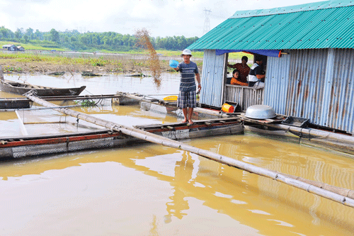 Làng bè như một thành phố nổi trên sông. Làng bè mùa nước lớn. Cá điêu hồng cùng với cá lăng, cá lóc được chủ bè La Ngà chọn nuôi nhiều nhất. Ngoài các bè nuôi cá, sông La Ngà còn là nơi sinh sống của nhiều người làm nghề chài lưới, buông chà đợi cá trên sông. Ngày cân cá cho thương lái thật nhộn nhịp. Thành quả của cả mùa cá trông vào ngày này. Bè cá quây bằng lưới sâu chừng 3-5m, rộng hẹp tùy sức nuôi của chủ. Cá được chuyển lên xe tải đưa đến các chợ đầu mối. Niềm vui của hộ dân khi gắn anten parabol xem tivi. Bữa cơm của một hộ trên bè cá. Âu lo lớn nhất của chủ bè cá là tương lai của những đứa trẻ được sinh trên bè này. Làng bè như một thành phố nổi trên sông. Làng bè mùa nước lớn. Cá điêu hồng cùng với cá lăng, cá lóc được chủ bè La Ngà chọn nuôi nhiều nhất. Ngoài các bè nuôi cá, sông La Ngà còn là nơi sinh sống của nhiều người làm nghề chài lưới, buông chà đợi cá trên sông. Ngày cân cá cho thương lái thật nhộn nhịp. Thành quả của cả mùa cá trông vào ngày này. Bè cá quây bằng lưới sâu chừng 3-5m, rộng hẹp tùy sức nuôi của chủ. Cá được chuyển lên xe tải đưa đến các chợ đầu mối. Niềm vui của hộ dân khi gắn anten parabol xem tivi. Bữa cơm của một hộ trên bè cá. Âu lo lớn nhất của chủ bè cá là tương lai của những đứa trẻ được sinh trên bè này.