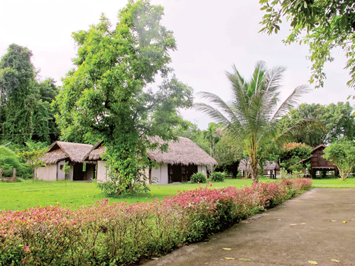 Bàn thờ Bác Hồ tại nhà dân đón du khách, Việt kiều đến bái vọng. Đoàn nhà báo Việt Nam và Thái Lan cùng bà con Việt kiều tại Nhà lưu niệm Chủ tịch Hồ Chí Minh ở tỉnh Udon. Nhà ở, nơi Bác Hồ hoạt động tại Nakhon Phanom. Du khách tìm hiểu nơi sinh sống, làm việc của Bác Hồ tại bản Na Chooc. Hiện vật trưng bày tại Nhà lưu niệm Chủ tịch Hồ Chí Minh. Phục dựng khu nhà ở của Việt kiều, nơi hoạt động của Bác Hồ tại Thái Lan. Cây khế tương truyền do Bác Hồ trồng tại Bản Mạy. Bàn thờ Bác Hồ tại nhà dân đón du khách, Việt kiều đến bái vọng. Đoàn nhà báo Việt Nam và Thái Lan cùng bà con Việt kiều tại Nhà lưu niệm Chủ tịch Hồ Chí Minh ở tỉnh Udon. Nhà ở, nơi Bác Hồ hoạt động tại Nakhon Phanom. Du khách tìm hiểu nơi sinh sống, làm việc của Bác Hồ tại bản Na Chooc. Hiện vật trưng bày tại Nhà lưu niệm Chủ tịch Hồ Chí Minh. Phục dựng khu nhà ở của Việt kiều, nơi hoạt động của Bác Hồ tại Thái Lan. Cây khế tương truyền do Bác Hồ trồng tại Bản Mạy.