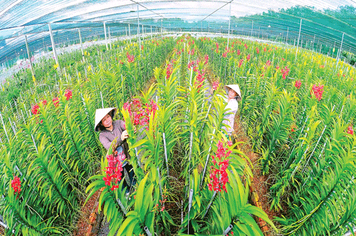 Hàng ngày, Đền Bến Dược đón tiếp các tầng lớp Nhân dân đến thăm quan, tri ân các liệt sĩ. Vườn lan Huyền Thoại xã An Nhơn Tây. Hạ tầng giao thông khang trang của thị trấn Củ Chi. Kênh thủy lợi Cầu Máng. Máy chụp MR tại bệnh viện Đa khoa Củ Chi. Trại bò sữa của chú Sáu Lê xã Phú Hòa Đông. Lớp học vi tính tại Trường PTCS An Phú 1. Dây chuyền sản xuất hiện đại Nhà máy Unilever trong KCN Tây Bắc Củ Chi. Sản xuất bánh tráng xuất khẩu tại Doanh nghiệp Duy Anh. Hàng ngày, Đền Bến Dược đón tiếp các tầng lớp Nhân dân đến thăm quan, tri ân các liệt sĩ. Vườn lan Huyền Thoại xã An Nhơn Tây. Hạ tầng giao thông khang trang của thị trấn Củ Chi. Kênh thủy lợi Cầu Máng. Máy chụp MR tại bệnh viện Đa khoa Củ Chi. Trại bò sữa của chú Sáu Lê xã Phú Hòa Đông. Lớp học vi tính tại Trường PTCS An Phú 1. Dây chuyền sản xuất hiện đại Nhà máy Unilever trong KCN Tây Bắc Củ Chi. Sản xuất bánh tráng xuất khẩu tại Doanh nghiệp Duy Anh.