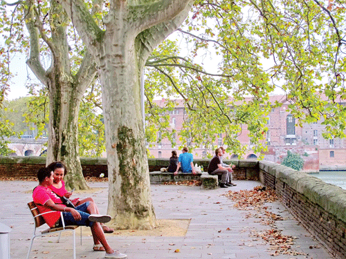 Một góc Toulouse nằm bên bờ sông Garonne. Quán hàng di động. Quảng trường Capitol, kiến trúc với gạch hồng đặc trưng xây từ thế kỷ 16, nơi không du khách nào bỏ lỡ cơ hội tham quan. Thư giãn dưới nắng thu. Một khu phố với kiến trúc đặc trưng Toulouse. Cầu mới (Pont-Neuf), địa danh lịch sử nối 2 bờ Thành phố Hồng. Tượng cổ tại bảo tàng Bemberg và ngoài công viên. Một góc Toulouse nằm bên bờ sông Garonne. Quán hàng di động. Quảng trường Capitol, kiến trúc với gạch hồng đặc trưng xây từ thế kỷ 16, nơi không du khách nào bỏ lỡ cơ hội tham quan. Thư giãn dưới nắng thu. Một khu phố với kiến trúc đặc trưng Toulouse. Cầu mới (Pont-Neuf), địa danh lịch sử nối 2 bờ Thành phố Hồng. Tượng cổ tại bảo tàng Bemberg và ngoài công viên.