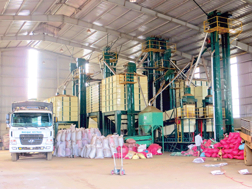 Dây chuyền chế biến cà phê xuất khẩu tại Đắk Nông.