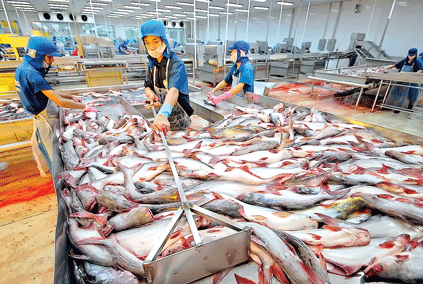 Ngành thủy sản có nhiều cơ hội trong năm nay.