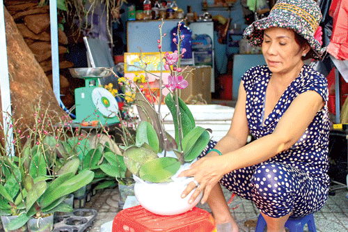 Người dân nên chọn những cửa hàng hoa có uy tín để tránh việc mua hoa kém chất lượng. Ảnh: T.THẢO