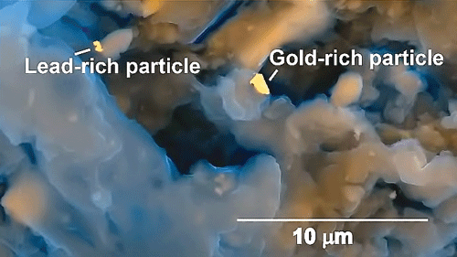 Những tinh thể vàng và kim loại quý được tìm thấy trong chất thải của con người.