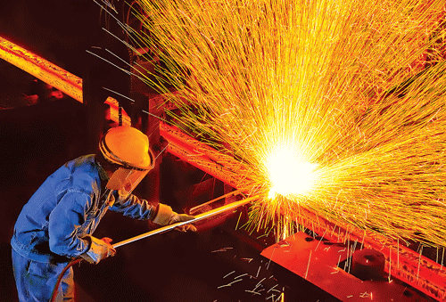 Cù lao Phố căng tràn sức sống ảnh 2 Cù lao Phố căng tràn sức sống ảnh 2