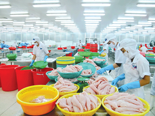 Chế biến thủy sản xuất khẩu. Chế biến thủy sản xuất khẩu.