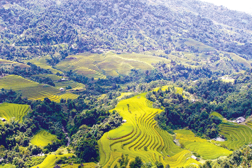 Năm 2012, Bộ Văn hóa - Thể thao - Du lịch đã chính thức công nhận ruộng bậc thang Hoàng Su Phì là Di sản văn hóa phi vật thể cấp quốc gia. Những thửa ruộng bậc thang đẹp nhất nằm trên địa bàn các xã Bản Phùng, Bản Luốc, Sán Sả Hồ, Hồ Thầu, Nậm Ty, Thông Nguyên. Ruộng bậc thang Thông Nguyên vào mùa lúa chín. Phụ nữ người La Chí thăm đồng. Năm 2012, Bộ Văn hóa - Thể thao - Du lịch đã chính thức công nhận ruộng bậc thang Hoàng Su Phì là Di sản văn hóa phi vật thể cấp quốc gia. Những thửa ruộng bậc thang đẹp nhất nằm trên địa bàn các xã Bản Phùng, Bản Luốc, Sán Sả Hồ, Hồ Thầu, Nậm Ty, Thông Nguyên. Ruộng bậc thang Thông Nguyên vào mùa lúa chín. Phụ nữ người La Chí thăm đồng.