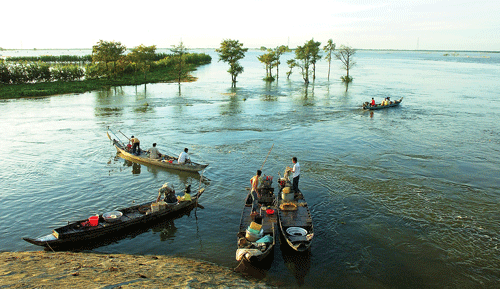 Trên đồng lũ Châu Đốc - An Giang. Ảnh: HUỲNH PHÚC HẬU