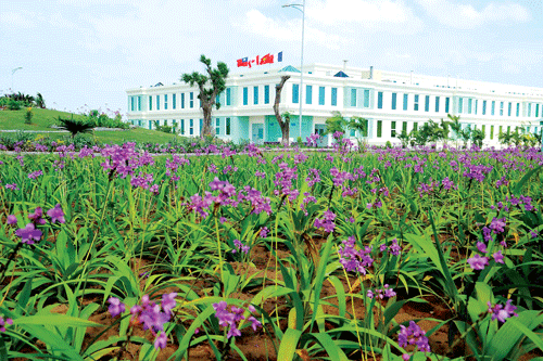 Ấn tượng của Mỹ Lan là 70% diện tích xây dựng dự án dành cho cây xanh và hoa.