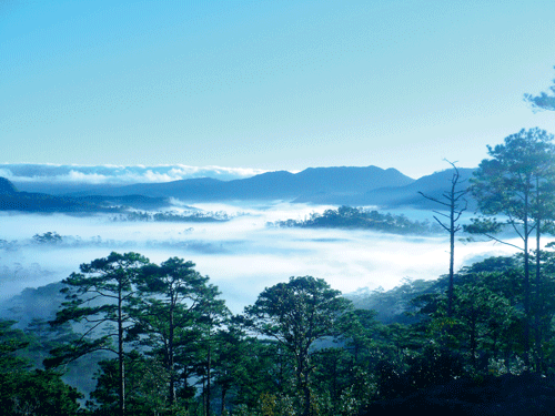 Khu bảo tồn thiên nhiên Sông Thanh.