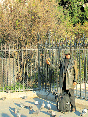 Người già chăm sóc chim trên đường phố Paris.