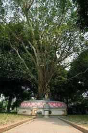 Ảnh minh họa. Ảnh minh họa.