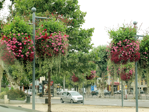 Cầu Millau nhìn lên từ thung lũng. Một góc phố với kiến trúc cổ kính. Thị tứ vùng quê yên bình. Cây cổ thụ được bảo tồn trên đường phố. Nhà cổ phương Nam. Phút thư giãn của khách lãng du. Một điểm bán hàng lưu động. Bán hàng ăn ngoài trời phục vụ khách du lịch sinh thái.