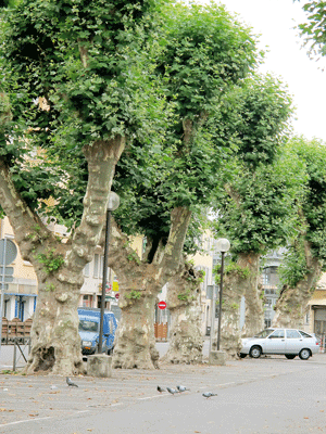 Kỳ vĩ cầu Millau ảnh 5 Kỳ vĩ cầu Millau ảnh 5