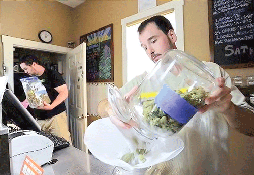 Ngành kinh doanh cần sa bắt đầu được hợp pháp hóa ở một số bang Hoa Kỳ. Ngành kinh doanh cần sa bắt đầu được hợp pháp hóa ở một số bang Hoa Kỳ.