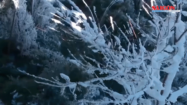 Northern region needs to proactively deal with extreme cold front 