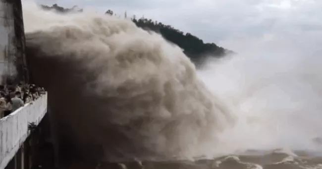 北部大面積降雷陣雨 ảnh 1
