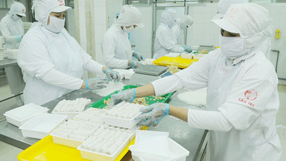CJ CheilJedang Corporation (CJCJ), a subsidiary of South Korean CJ Group now holds 47.33 percent share capital of Cau Tre Company (Photo: SGGP)