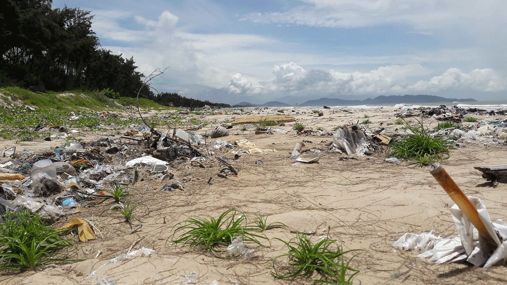 Bảo vệ môi trường biển