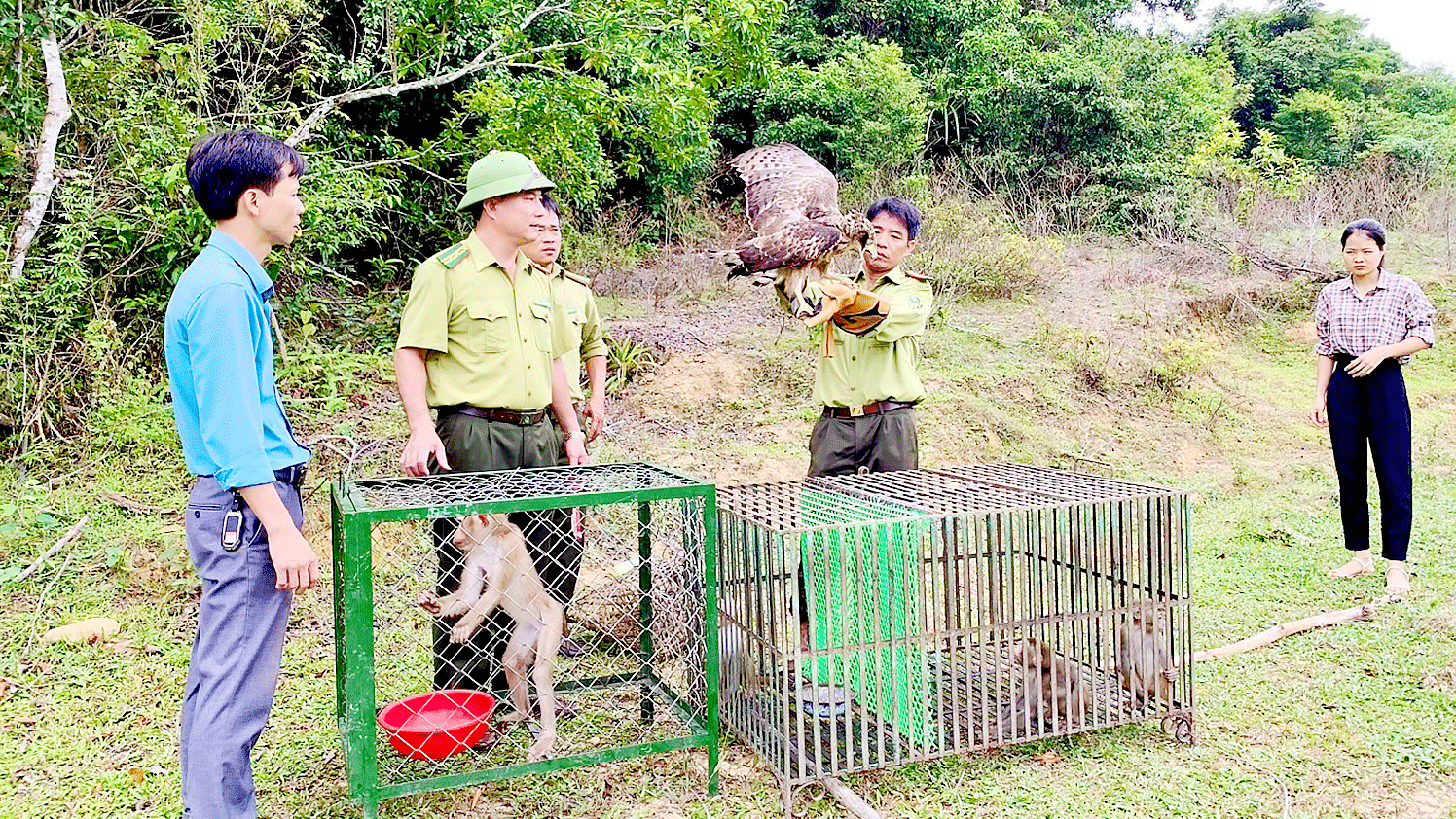 Thả nhiều động vật hoang dã về rừng tự nhiên