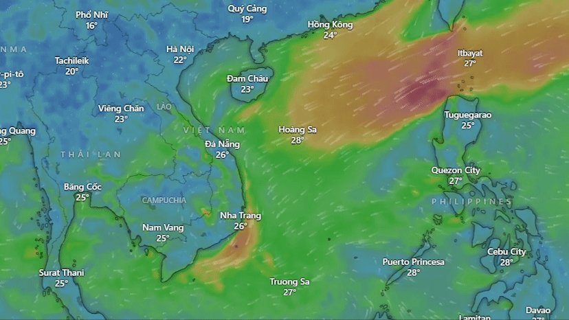 Hướng gió. Nguồn: Windy Hướng gió. Nguồn: Windy